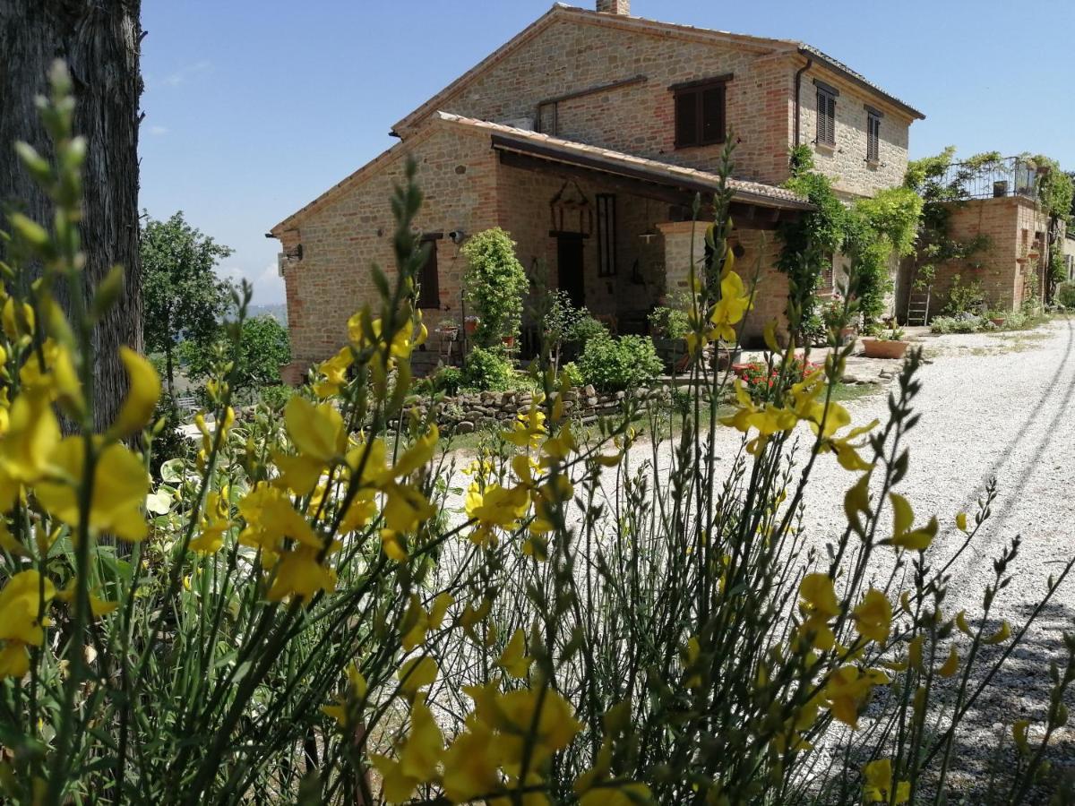 Casale San Martino Agriturismo Bio Sant'Angelo in Pontano Eksteriør bilde