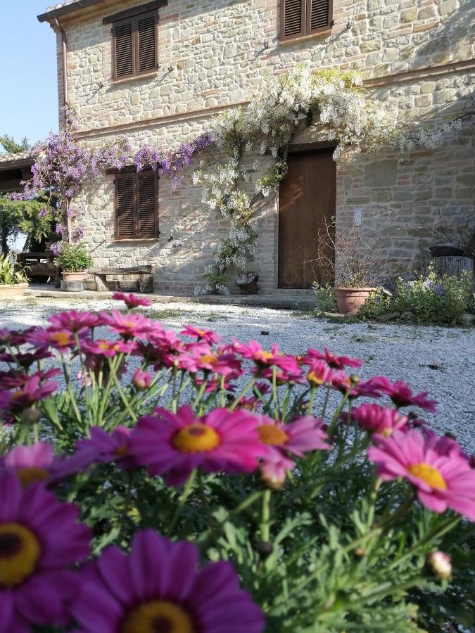 Casale San Martino Agriturismo Bio Sant'Angelo in Pontano Eksteriør bilde