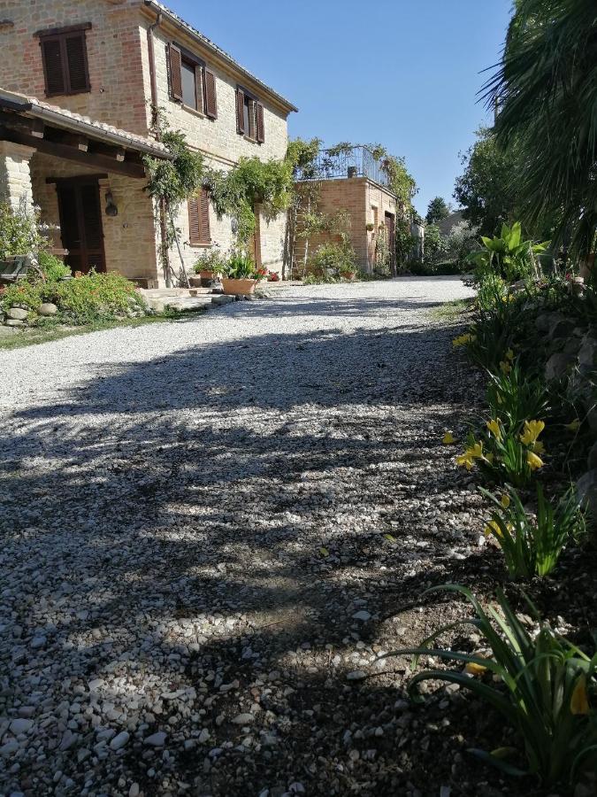 Casale San Martino Agriturismo Bio Sant'Angelo in Pontano Eksteriør bilde