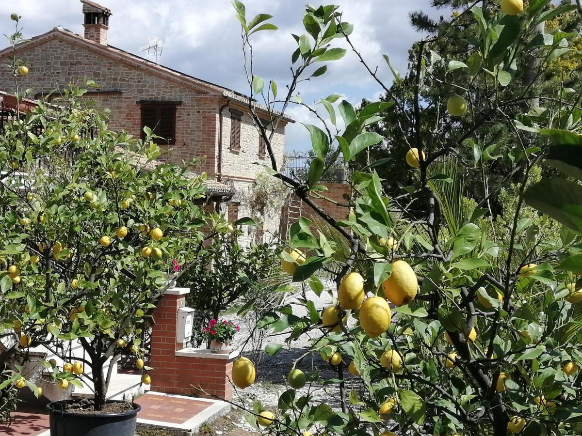 Casale San Martino Agriturismo Bio Sant'Angelo in Pontano Eksteriør bilde