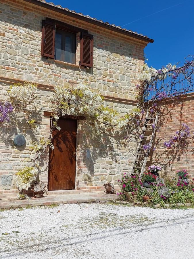 Casale San Martino Agriturismo Bio Sant'Angelo in Pontano Eksteriør bilde