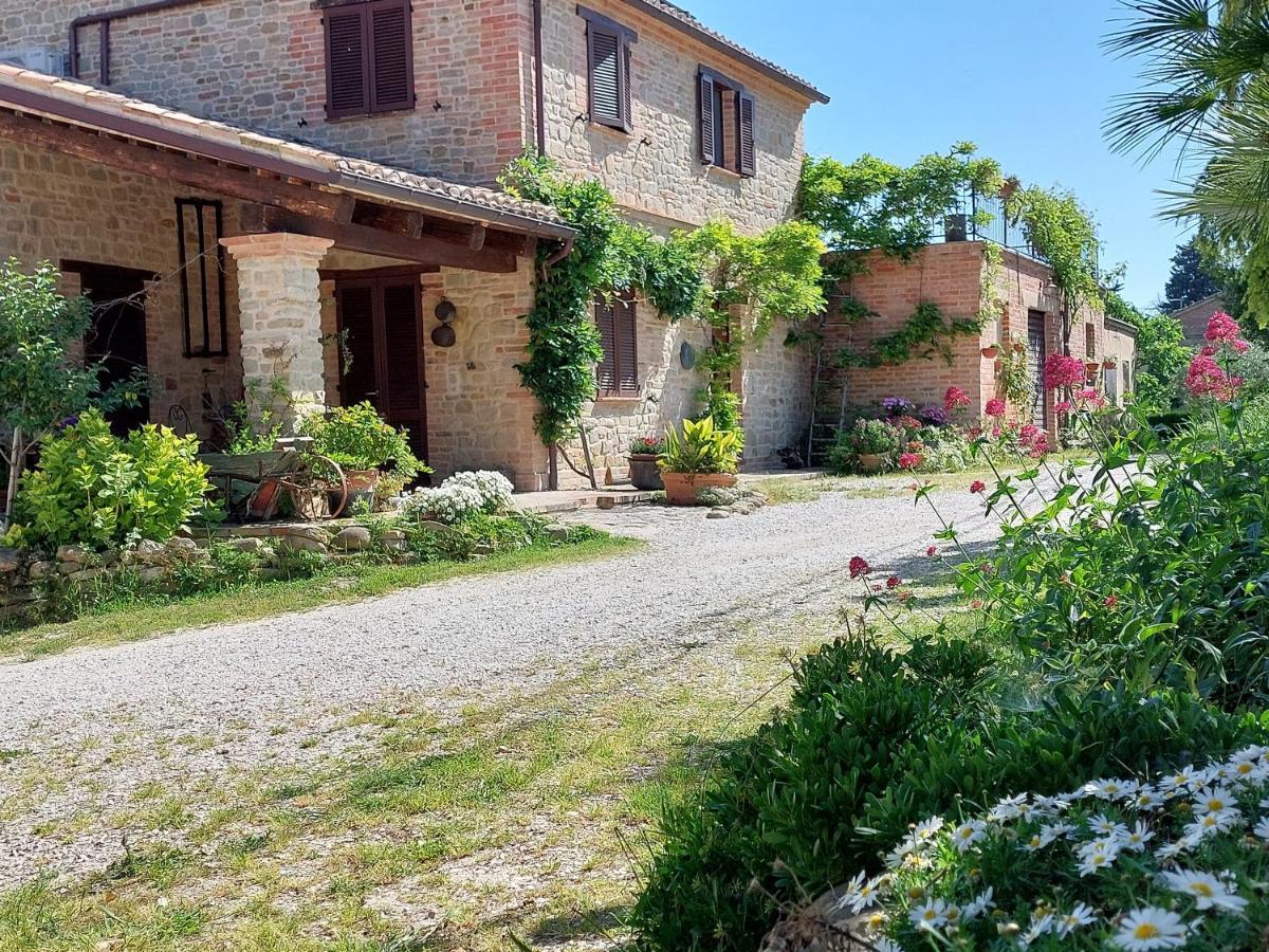 Casale San Martino Agriturismo Bio Sant'Angelo in Pontano Eksteriør bilde