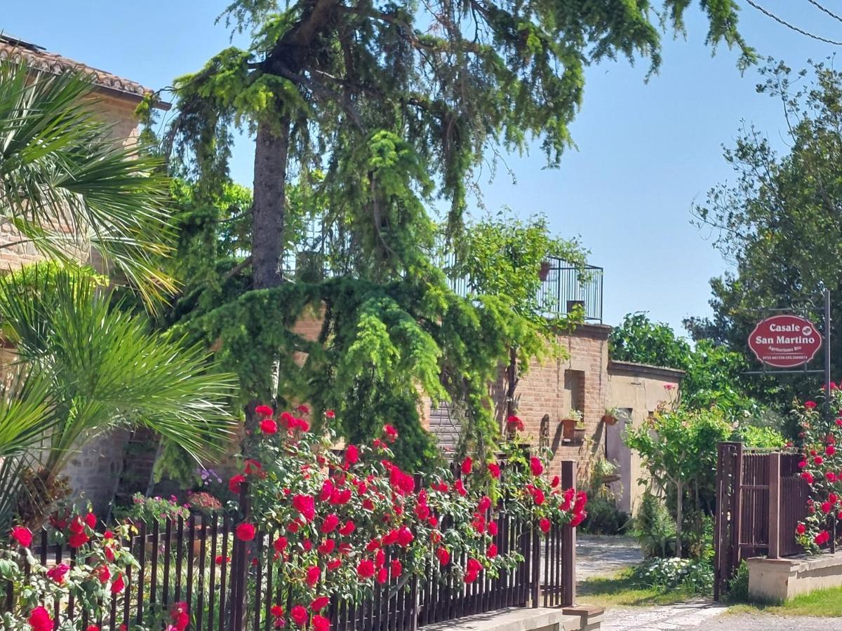 Casale San Martino Agriturismo Bio Sant'Angelo in Pontano Eksteriør bilde