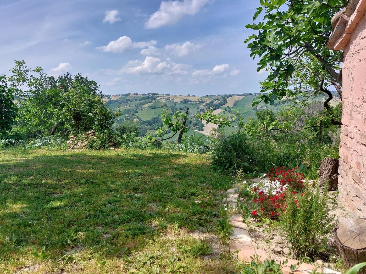 Casale San Martino Agriturismo Bio Sant'Angelo in Pontano Eksteriør bilde