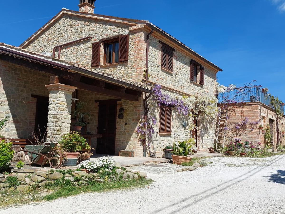 Casale San Martino Agriturismo Bio Sant'Angelo in Pontano Eksteriør bilde