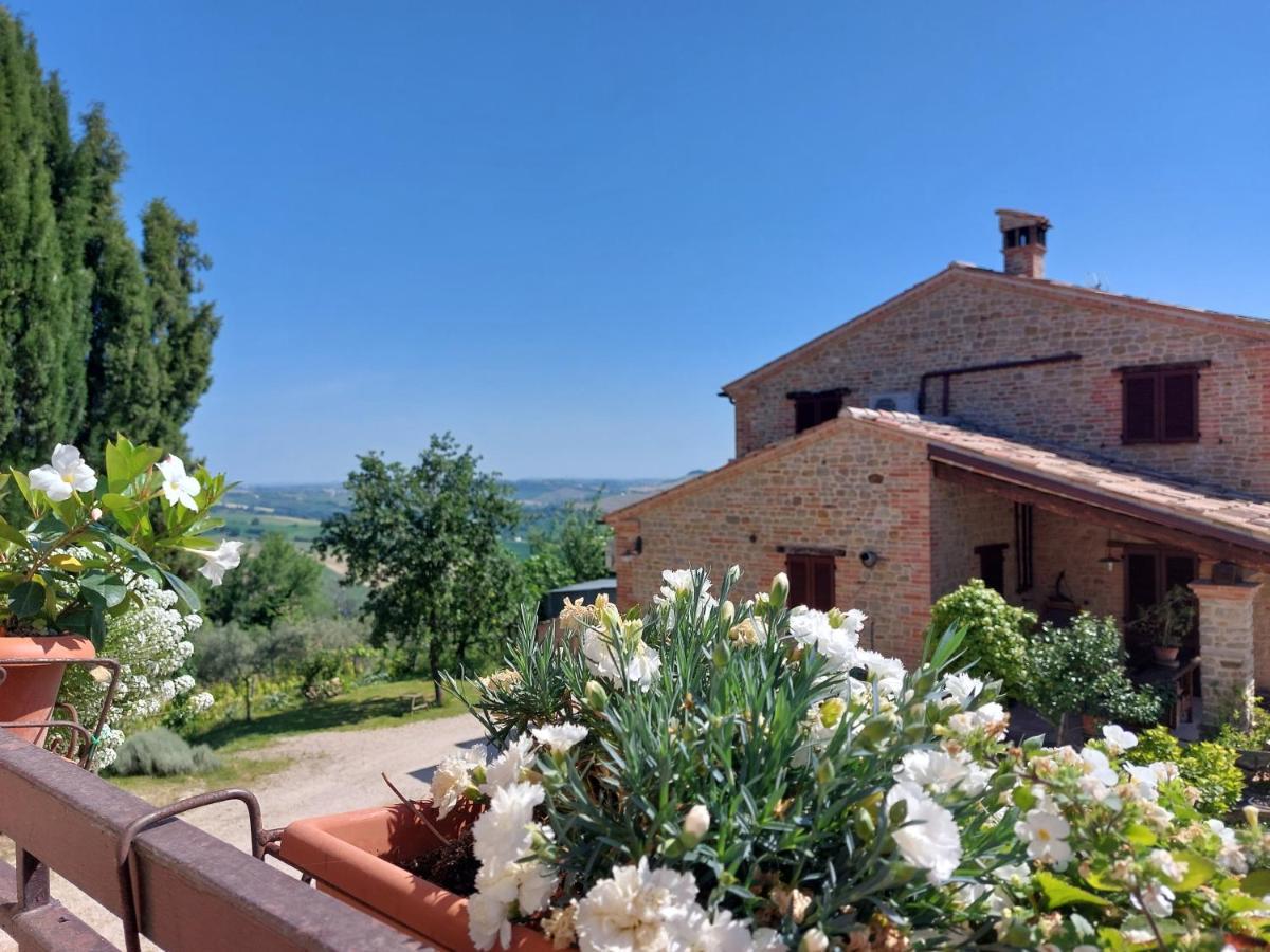 Casale San Martino Agriturismo Bio Sant'Angelo in Pontano Eksteriør bilde