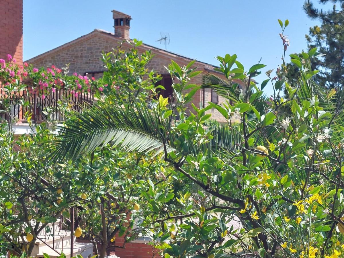 Casale San Martino Agriturismo Bio Sant'Angelo in Pontano Eksteriør bilde
