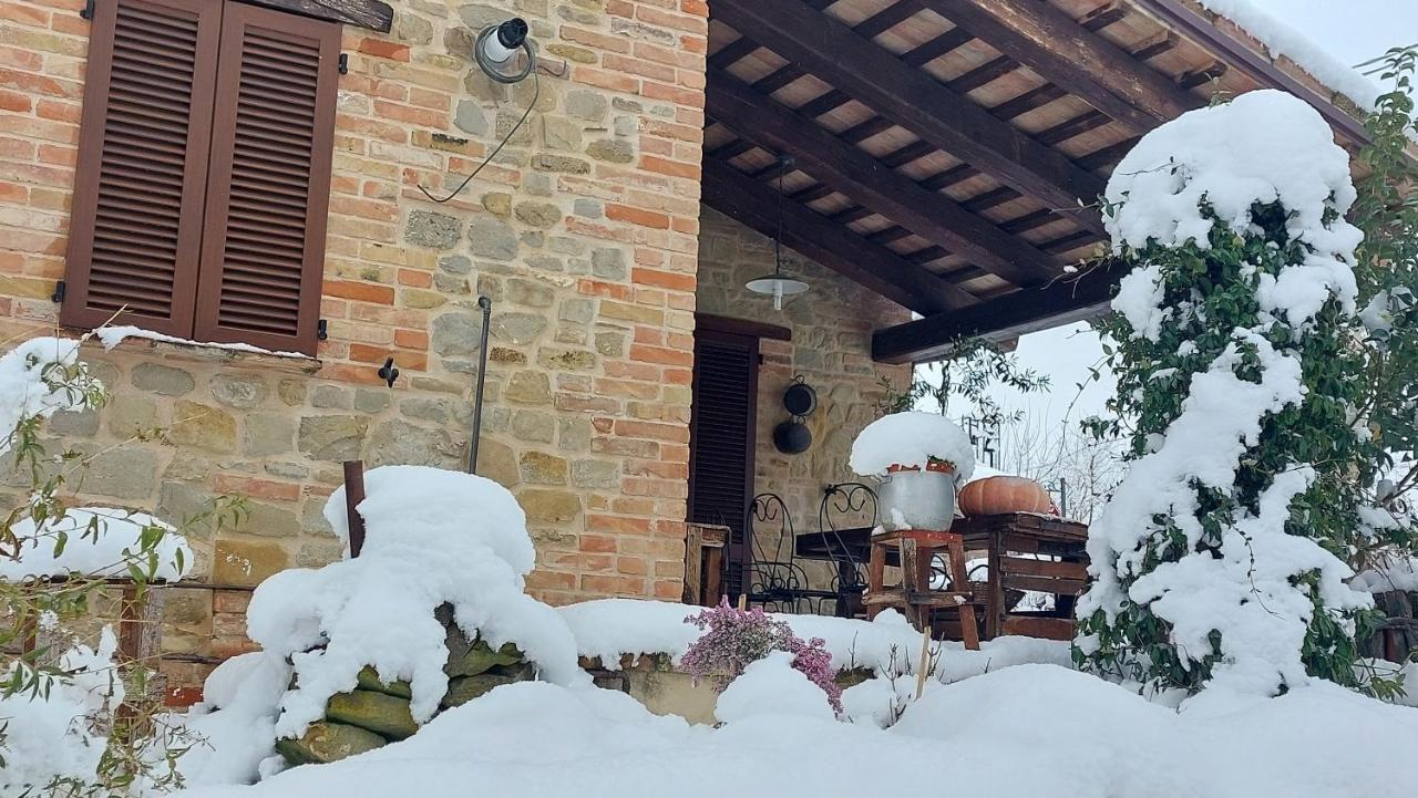 Casale San Martino Agriturismo Bio Sant'Angelo in Pontano Eksteriør bilde
