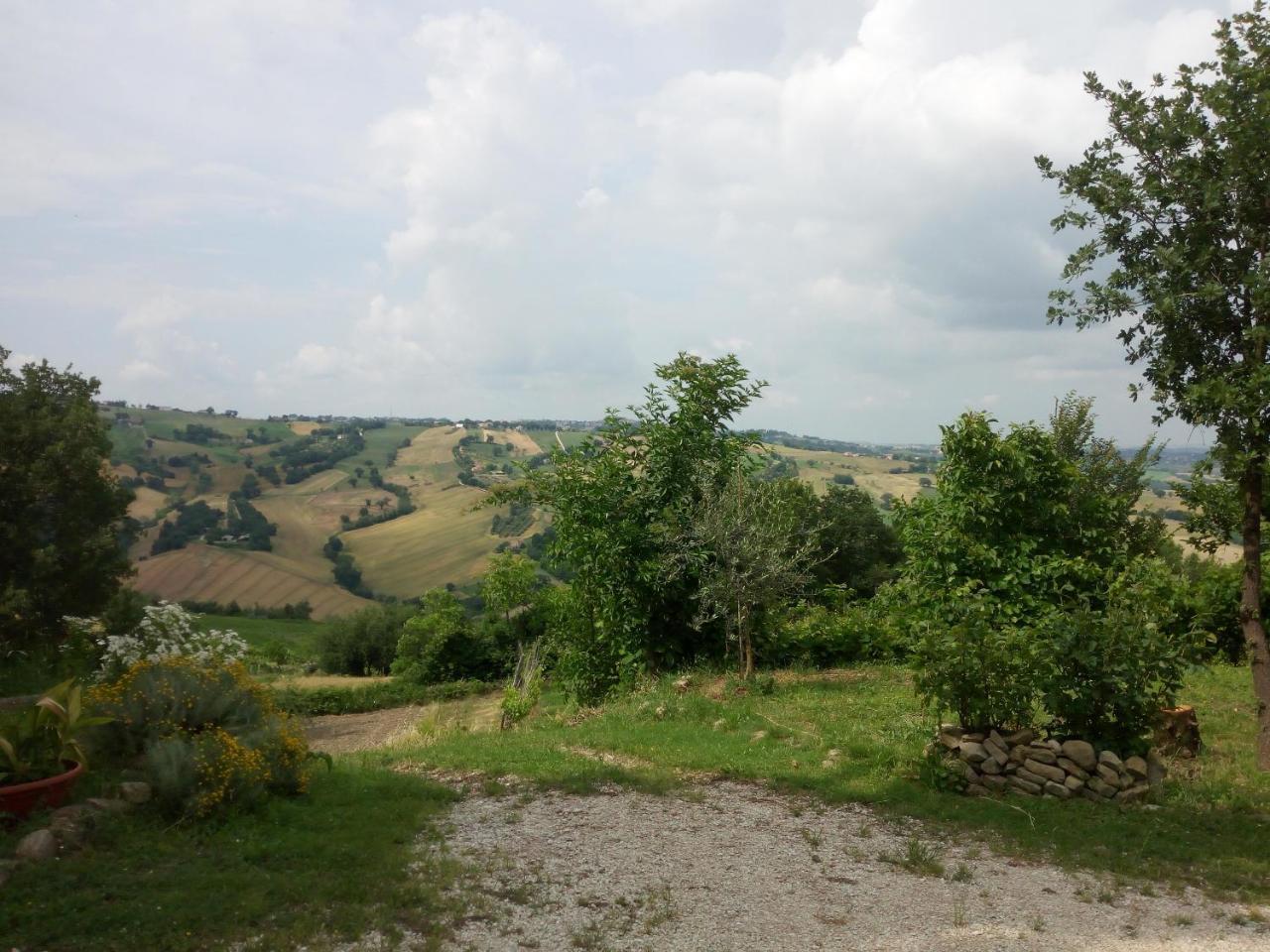 Casale San Martino Agriturismo Bio Sant'Angelo in Pontano Eksteriør bilde